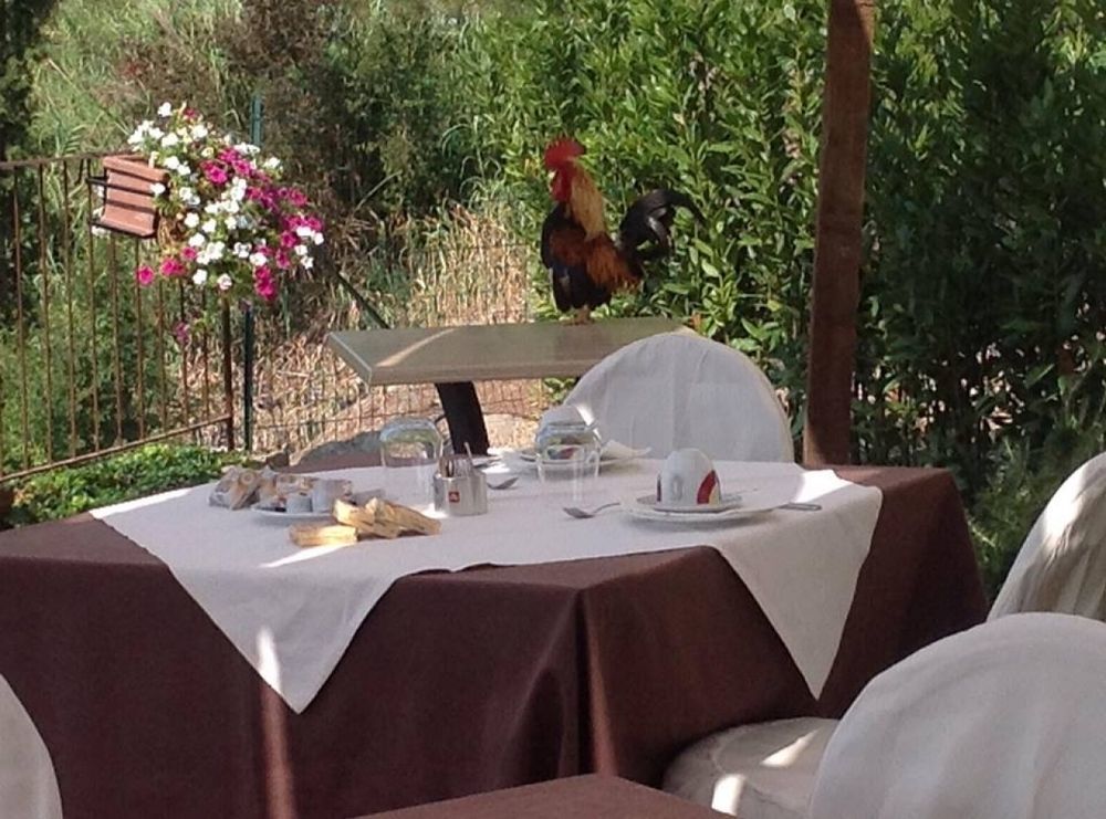 La Locanda Di Ortimino Montespertoli Eksteriør billede